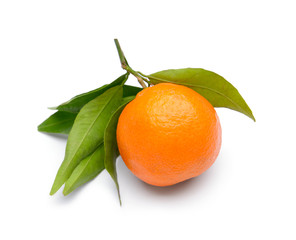 Tasty juicy tangerine on white background