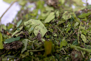 Background of Cannabis (Drugs), Analysis of Cannabis in laboratory.