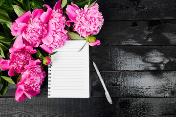 Beautiful pink peony flowers on black background.