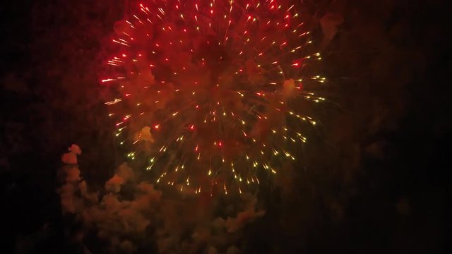 the fireworks in the night sky
