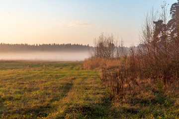 Obraz na płótnie Canvas morning mist fog over meadows