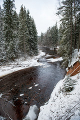 Fototapeta na wymiar forest river in winter. Amata in Latvia