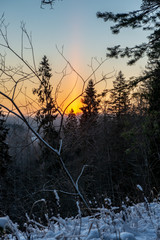 cold sunrise in winter forest with sun light pillar