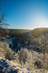 Obraz na płótnie Canvas sunny winter day in snowy forest