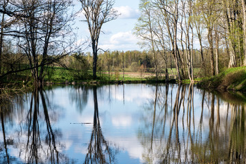beautiful summer day at the lake, tree reflections in blue water