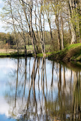 beautiful summer day at the lake, tree reflections in blue water