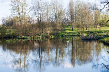 beautiful summer day at the lake, tree reflections in blue water