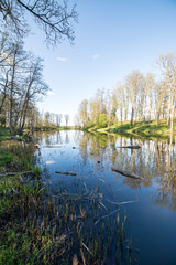 beautiful summer day at the lake, tree reflections in blue water