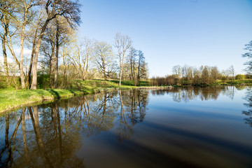 Fototapeta na wymiar beautiful summer day at the lake, tree reflections in blue water