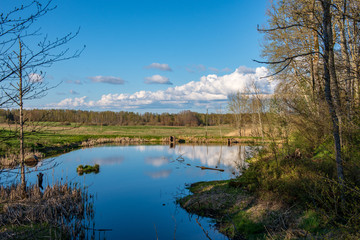 beautiful summer day at the lake, tree reflections in blue water