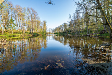 beautiful summer day at the lake, tree reflections in blue water