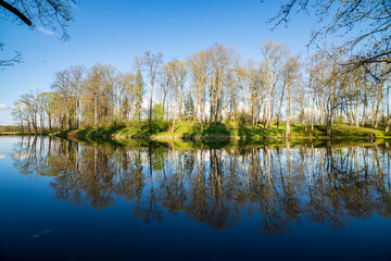 beautiful summer day at the lake, tree reflections in blue water