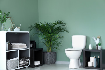 Modern interior of restroom with ceramic toilet bowl