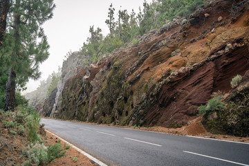 Empty road in fog in the mountais with forest.