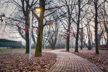 Quiet path in the town park ground view