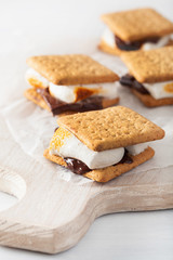 homemade marshmallow s'mores with chocolate on crackers