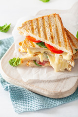 grilled cheese and tomato sandwich on white background