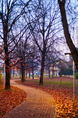 Quiet path in the town park dramatic colors