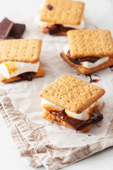 homemade marshmallow s'mores with chocolate on crackers