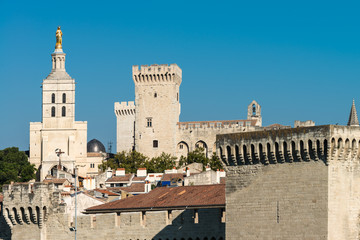 Blick auf Kathedrale und Papstpalast in Avignon