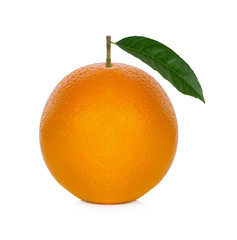 Fresh orange from the farm on a white background