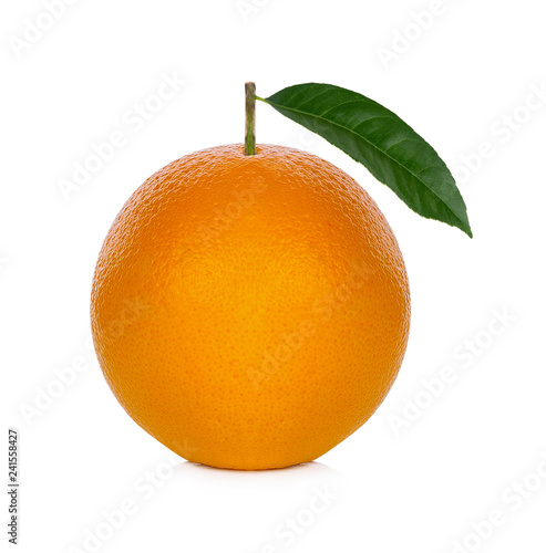 Download 930+ Background Information Of Orange Farm Paling Keren