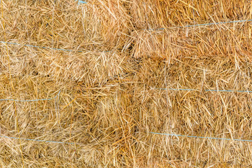 Texture of the dry hay for the background