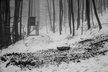 Hochsitz an Kirrung im Winter 