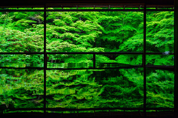 新緑の瑠璃光院