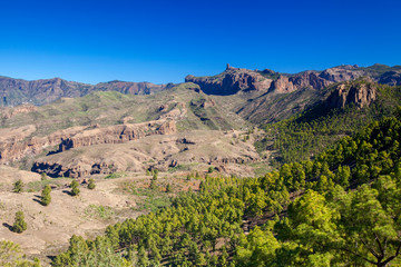 Gran Canaria, December