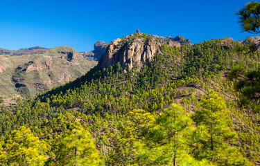 Gran Canaria, December