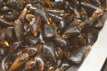 Close-up heap of raw fresh mussels on counter at local fish market. Heap of Nutritious shellfish mollusk at seafood store.