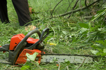 Chainsaw on a ground in the garden