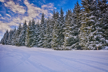 Beautiful winter landscape with snow, forest and clouds in Karakol, Kyrgyzstan.