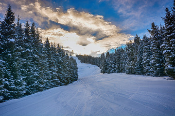 Beautiful winter landscape with snow, forest and clouds in Karakol, Kyrgyzstan.