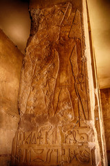 hieroglyph in temple of queen hatsepsut