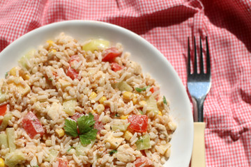 Cold salad with chicken, rice, various vegetables (tomato, pepper, cucumber, corn) and seasoning. Decorated with parsley leaves. Top view. 