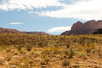 landscape and nature concept - view of grand canyon desert