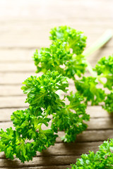 fresh curly parsley leaves on the wooden table