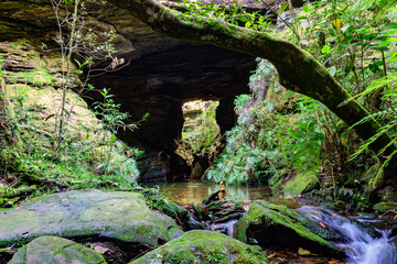 River among rocks, moss, cave and rainforest