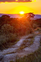 Dirt road through the hills and native vegetation of Carrancas forest in Minas Gerais, Brazil
