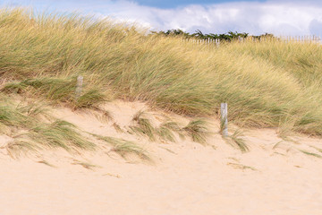French landscape - Bretagne. Beach with dunes and grass in the background.
