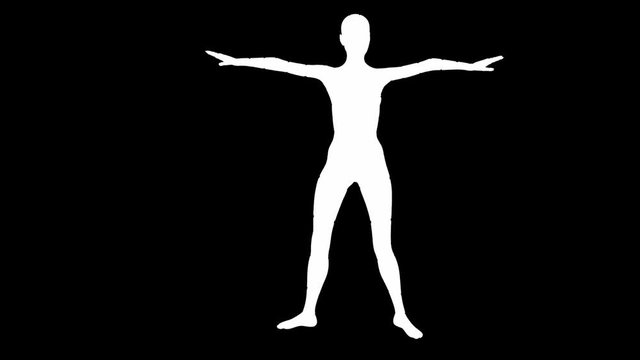 Looping animated 3D dancing female on a masked black background.