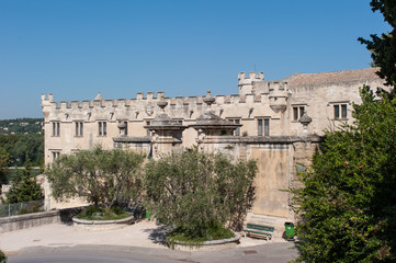 Naklejka premium Musée du Petit Palais in Avignon in Südfrankreich