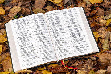 Naklejka na ściany i meble Holy Bible. Open Bible on top of fallen autumn leaves.