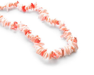 Necklace made of seashells on white background