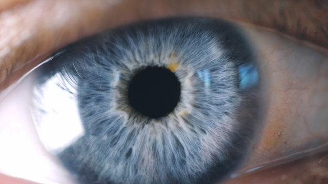 Close-up detail of man eye. Macro