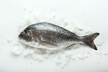 Fresh dorado fish and ice on white background