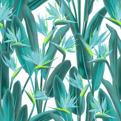 Bird of paradise tropical flower vector seamless pattern. Jungle plant paradise tropical summer fabric design. South African plant tropical blossom of crane flower, strelitzia. Floral textile print.