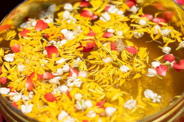 Water in bowl with many flower, Songkran festival in Thailand (Selective focus)
